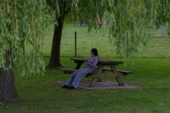 solitude-avril-2026-jpstephant