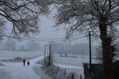 sur-la-route-celine