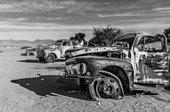 Solitaire - Namibie - Erick