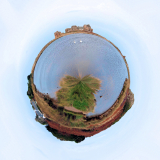 Bretagne - Erick