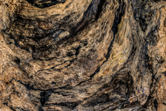 JM - Texture bois