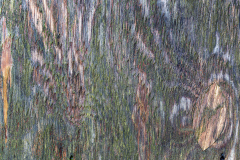 texture-michel-b