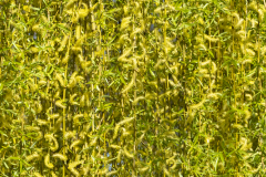 texture-vegetale-micamb-02