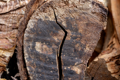 texture_michel-b