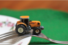 Micro-tracteur-J