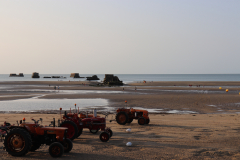 Tracteurs_Aurelie