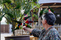 Tropical-parc-sep-2024-Micamb-05