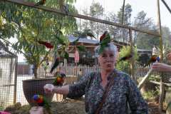 Tropical-parc-sep-2024-Micamb-07