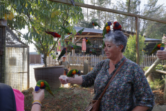 Tropical-parc-sep-2024-Micamb-08