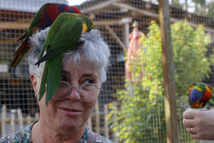 Tropical-parc-sep-2024-Micamb-10