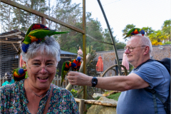 Tropical-parc-sep-2024-Micamb-12
