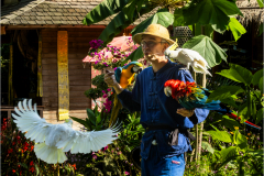 Tropical-parc-sep-2024-Micamb-18