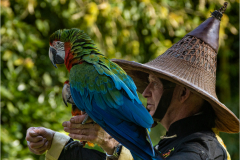 Tropical-parc-sep-2024-Micamb-19