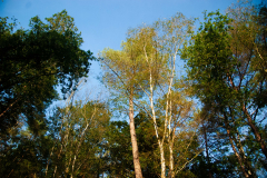 chercher-le-soleil
